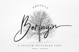 Beringin Font: A Script Amp Typeface for Modern Branding