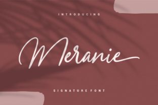 Meranie: A Handcrafted Typeface for Modern Web Design
